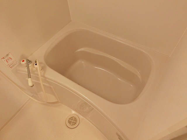 一般的な浴室です。