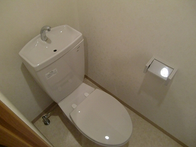 トイレに綺麗にしてあります。