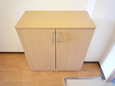 靴もしっかり収納してもらえます。