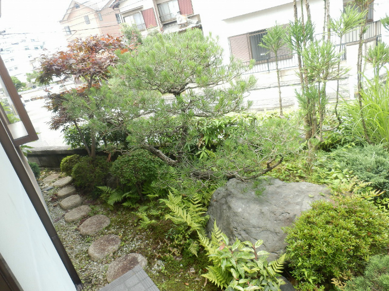 和風の庭