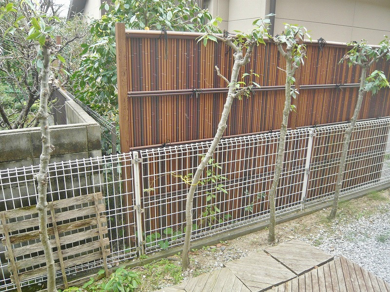 日当たり良好