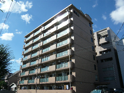 十一屋DOA