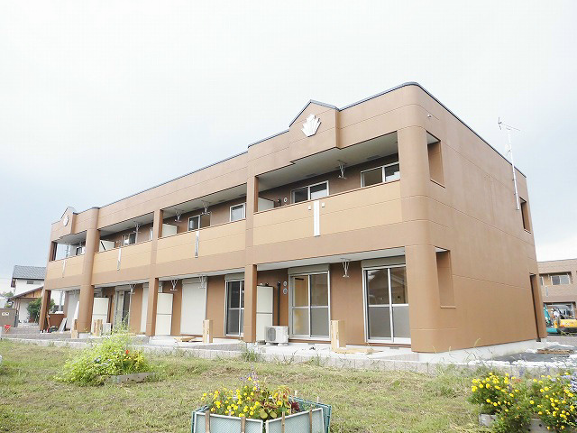 pisola