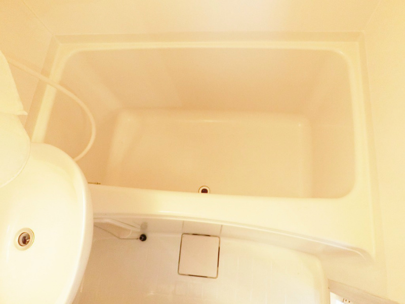 写真はＡ棟の写真です。