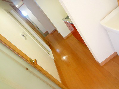 寝室から玄関を見た景色です。