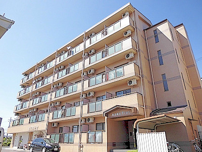 APEX FLAT