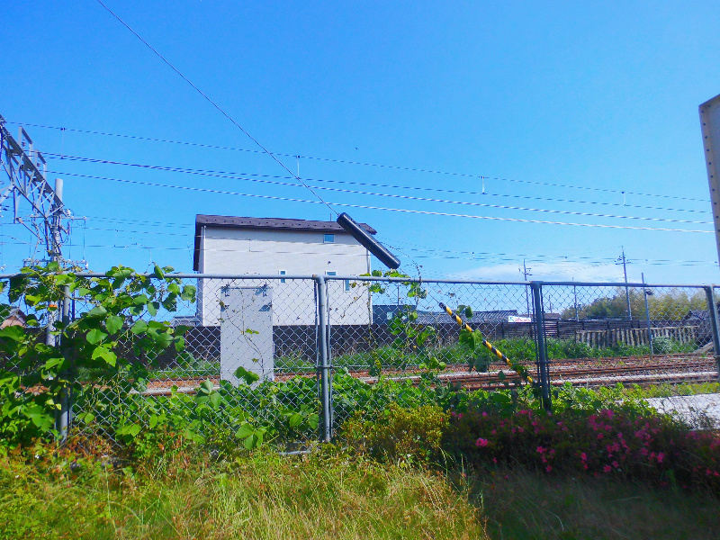 室内写真は102号室です