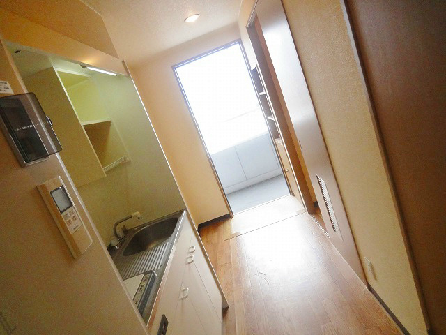 玄関から見た景色です。