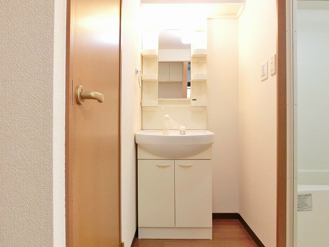 シンプルなシャワードレッサー。壁との隙間を何か有効に生かせそう。