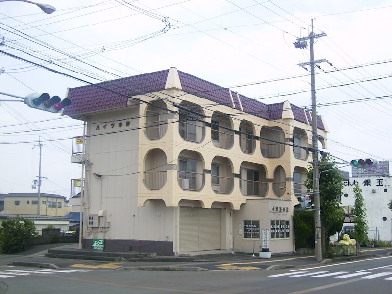 ハイツ水野