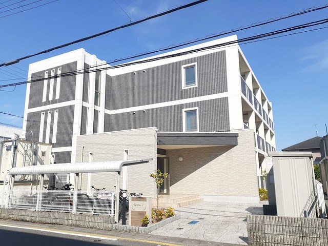 シンシアＴ