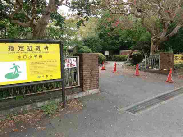 水口小学校まで800m