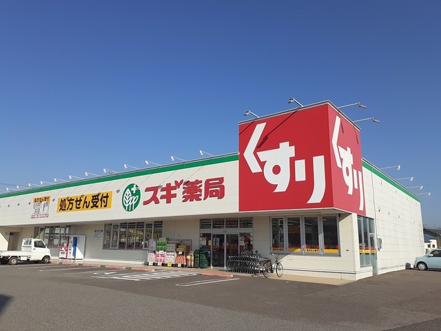 スギ薬局八日市店様まで336m